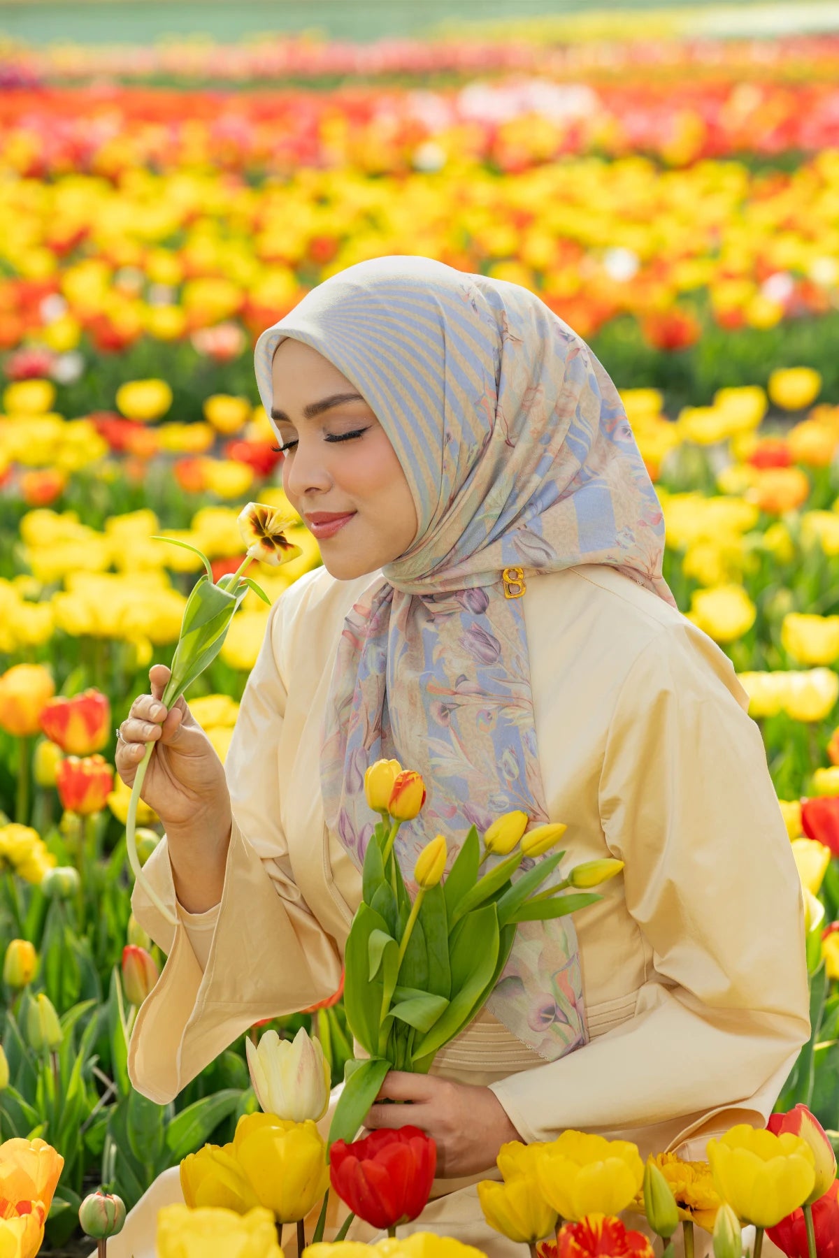 Tulip - Sunshine