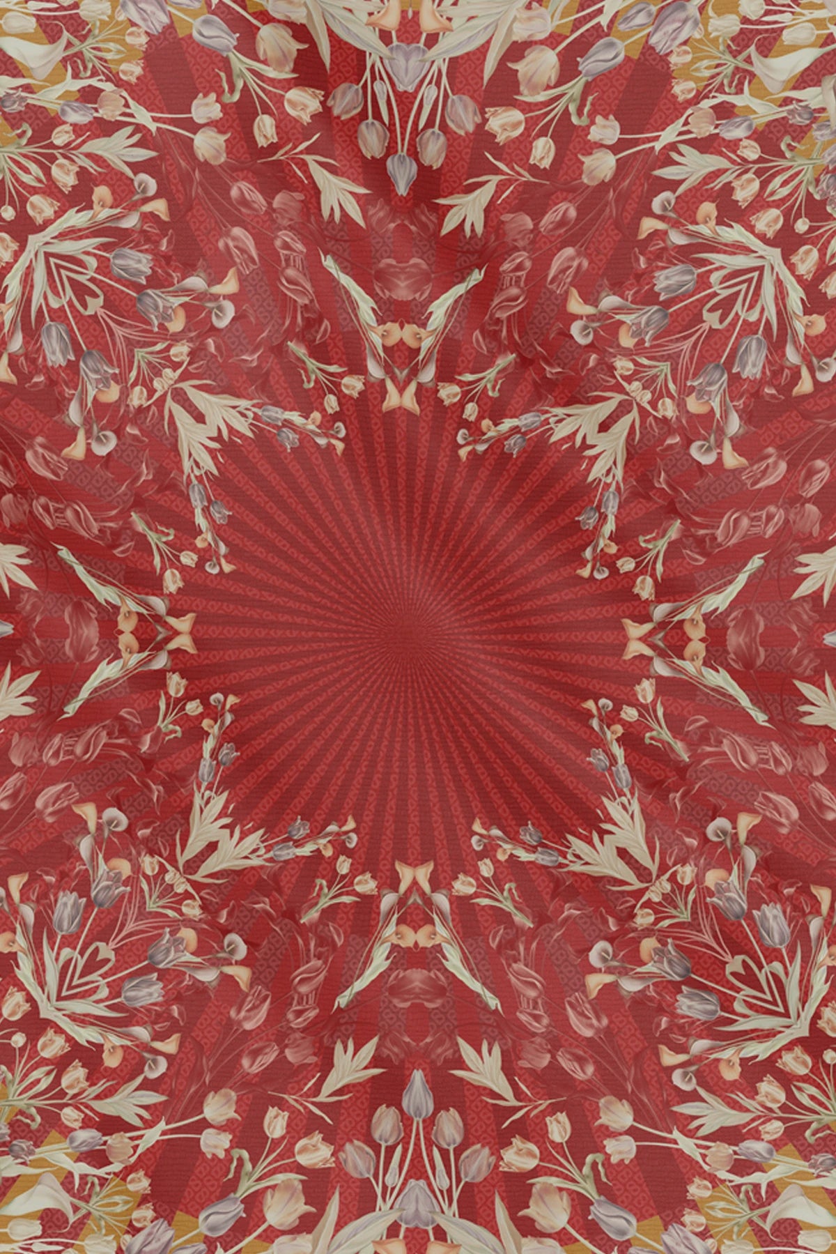Tulip - Cherry