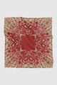 Tulip - Cherry