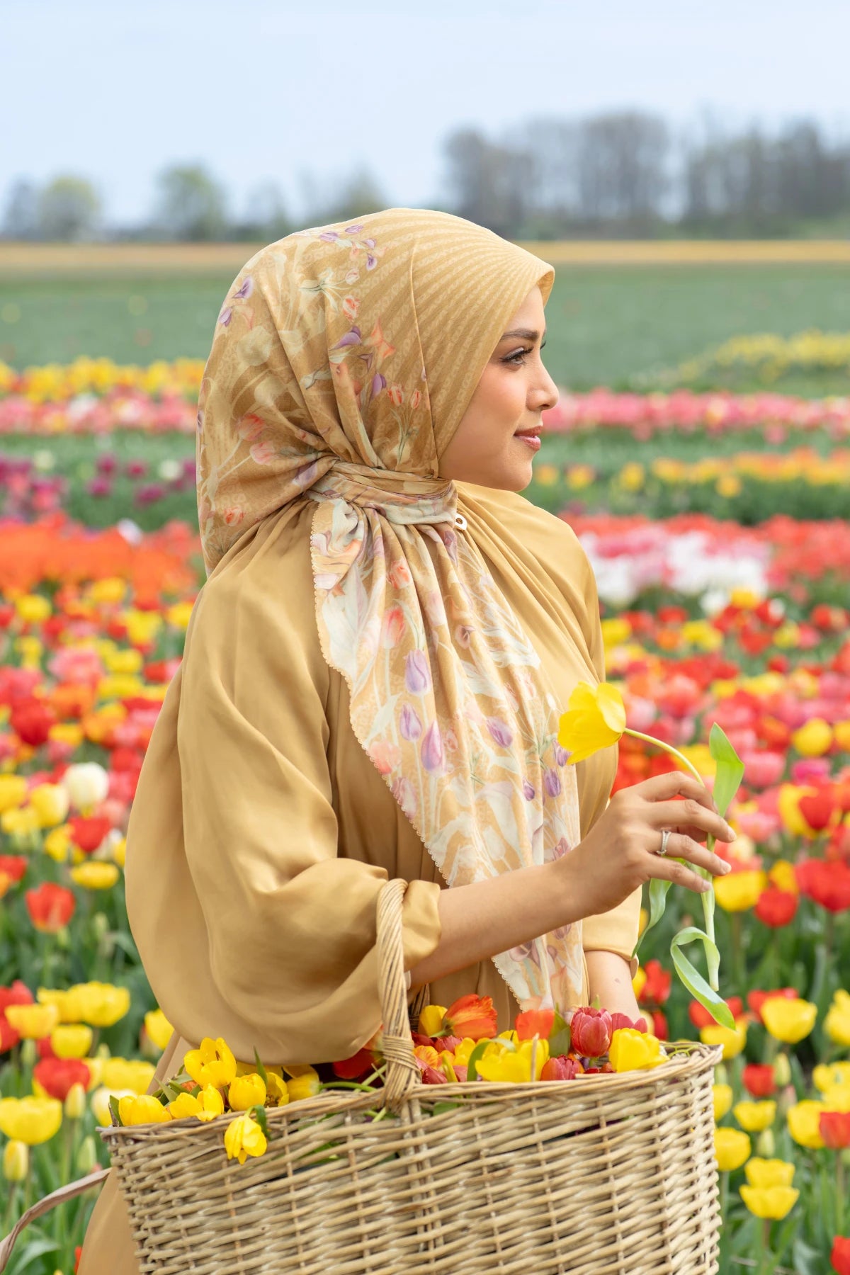 Tulip - Honey