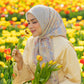 Tulip - Sunshine