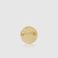 Liora Pin Brooch - Gold