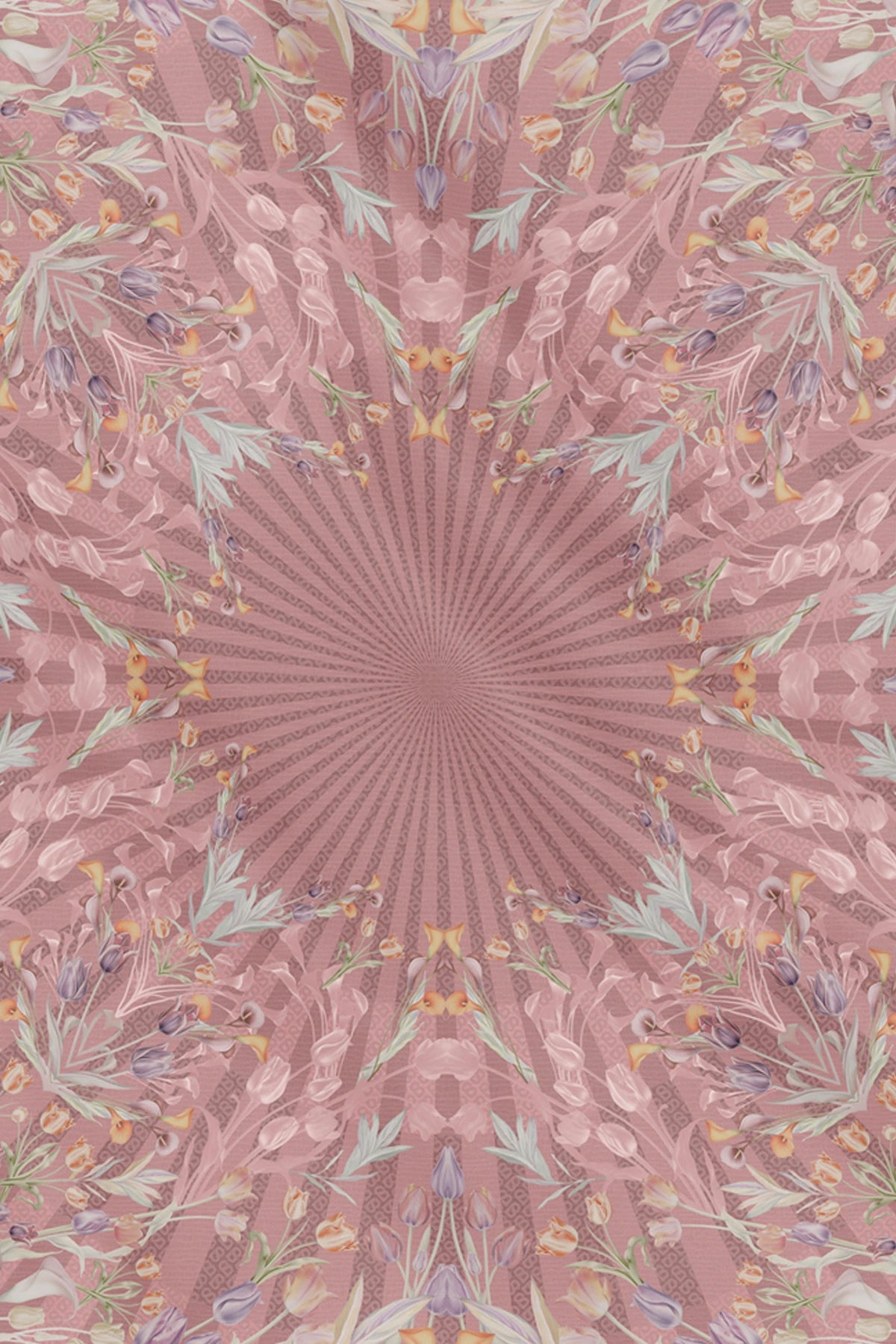Tulip - Mauve